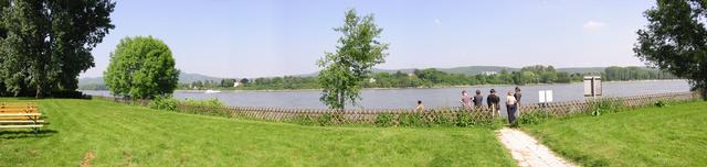 Rolandseck office gardens